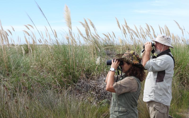 Birdwatching in the Province of Buenos Aires.