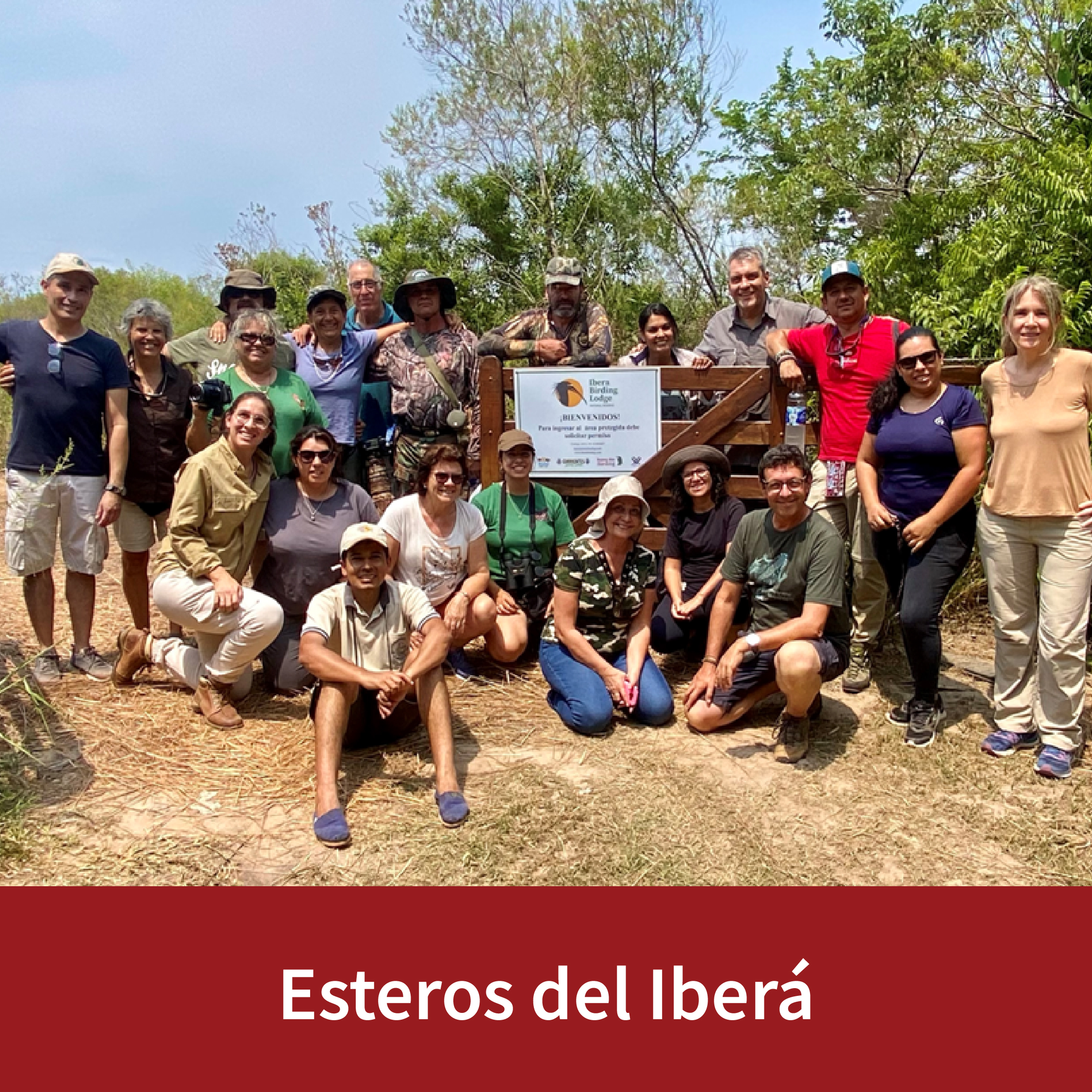 Ibera curso
