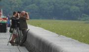 Birding Bs As