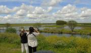 Ceibas Birding