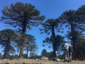 Ecoregiones