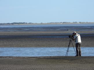 Pampas, Coast and Delta
