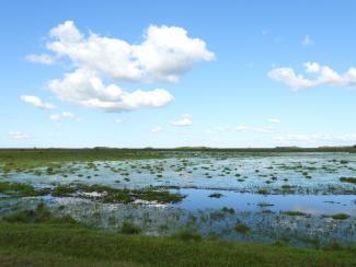 Iberá
