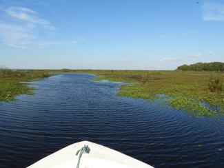 Iberá 