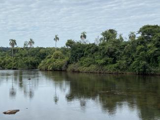 Iguazu Falls