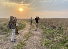 Birding Ibera and Iguazu